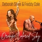 DEBORAH SILVER Orange Colored Sky album cover
