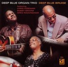 DEEP BLUE ORGAN TRIO Deep Blue Bruise album cover