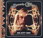 DENNIS COFFEY Big City Funk: Original Old School Breaks & Heavy Guitar Soul album cover