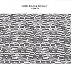 DEREK BAILEY Derek Bailey & Company : Klinker album cover