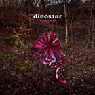 DINOSAUR Wonder Trail album cover