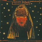 DR. JOHN Tribal album cover