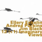 ELLERY ESKELIN 12 (+1) Imaginary Views (with Andrea Parkins & Jim Black) album cover
