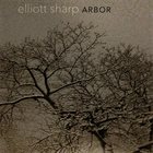 ELLIOTT SHARP Arbor album cover