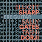 ELLIOTT SHARP Ere Guitar album cover