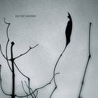 ERALDO BERNOCCHI Eraldo Bernocchi, Chihei Hatakeyama : Solitary Universe album cover