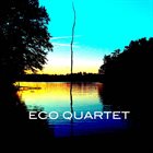 ERIC WURZELBACHER ECO Quartet album cover