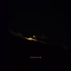 ERNESTO RODRIGUES Ernesto Rodrigues, Luisa Gonçalves, Flak, Bruno Parrinha, Miguel Mira : Nocturne album cover
