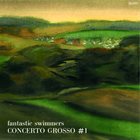 FANTASTIC SWIMMERS Concerto Grosso #1 album cover