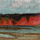 FANTASTIC SWIMMERS Concerto Grosso #12 album cover