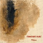 FINNEGANS WAKE Pictures album cover