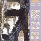 FOREVER EINSTEIN Opportunity Crosses The Bridge album cover
