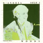 FRANCO D'ANDREA Solo 3 - Woods album cover