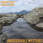 FRANÇOIS HOULE Francois Houle & Samo Salamon : Unobservable Mysteries album cover