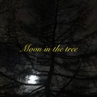 FRODE GJERSTAD Moon in the tree album cover