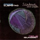 FRODE GJERSTAD Shadows and Light album cover