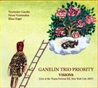 GANELIN TRIO/SLAVA GANELIN Visions album cover