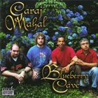 GARAJ MAHAL Blueberry Cave album cover