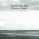 GONÇALO ALMEIDA Almeida / Bakker : Into the Grey Zone album cover