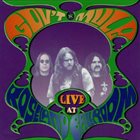 GOV'T MULE Live At Roseland album cover