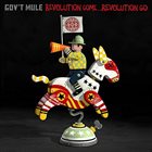 GOV'T MULE Revolution Come...Revolution Go album cover