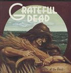 GRATEFUL DEAD Wake Of The Flood album cover