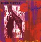 HERB ALPERT Under A Spanish Moon album cover