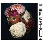 ISM اسم Metaphor album cover