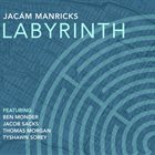JACÁM MANRICKS Labyrinth album cover