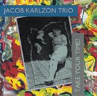 JACOB KARLZON Take Your Time album cover
