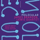 JAMES BRANDON LEWIS James Brandon Lewis Quartet : Molecular album cover