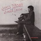 JAMES BROWN — In the Jungle Groove album cover