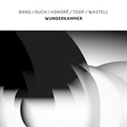 JAN BANG Wunderkammer album cover