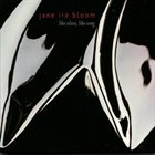 JANE IRA BLOOM Like Silver Like Song album cover