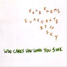 JASON AJEMIAN Who Cares How Long You Sink : Folk Forms Evaporate Big Sky album cover