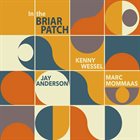 JAY ANDERSON In the Briar Patch album cover