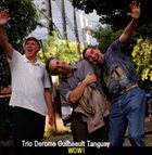 JEAN DEROME Trio Derome Guilbeault Tanguay : Wow! album cover