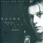 JESSE VAN RULLER Herbs Fruits Balms and Spices album cover