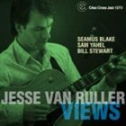 JESSE VAN RULLER Views album cover