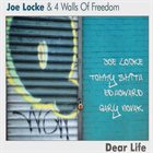 JOE LOCKE Dear Life album cover