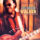 JOE LOUIS WALKER New Direction album cover