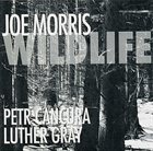 JOE MORRIS Wildlife album cover