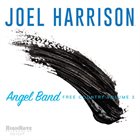 JOEL HARRISON Angel Band : Free Country Volume 3 album cover