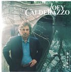 JOEY CALDERAZZO Haiku album cover