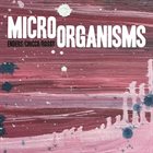 JOHANNES ENDERS Johannes Enders, Renato Chicco & Jorge Rossy : Micro Organisms Live In Graz album cover