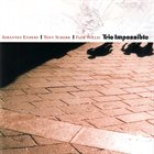 JOHANNES ENDERS Johannes Enders | Tony Scherr | Falk Willis ‎: Trio Impossible album cover