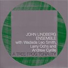 JOHN LINDBERG A Tree Frog Tonality album cover