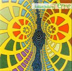 JULIAN JULIEN — Terre album cover