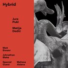 JURE PUKL Jure Pukl & Matija Dedić : Hybrid album cover