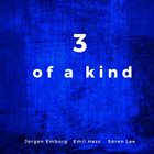 JØRGEN EMBORG Jørgen Emborg, Emil Hess, Søren Lee : 3 Of A Kind album cover